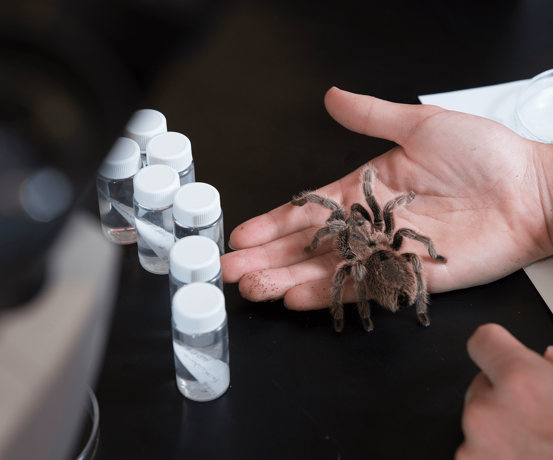 Student holding tarantula and research equipment