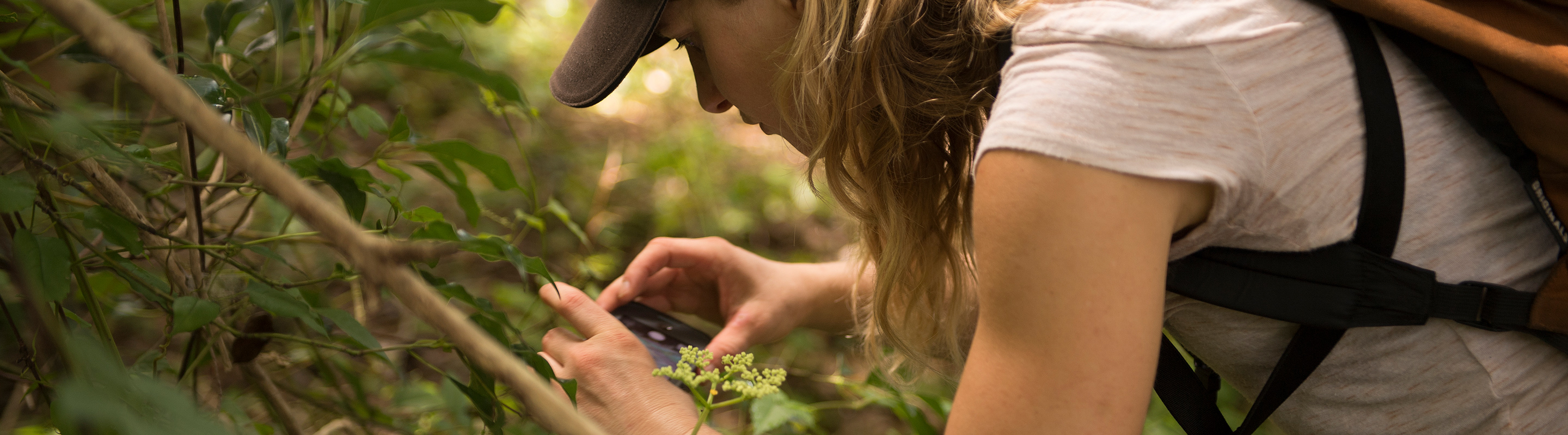 Woman studying life in forest with microscope