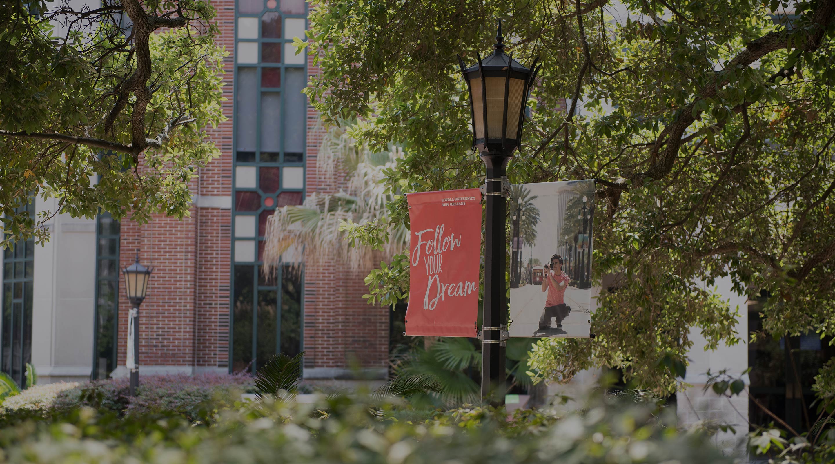 Campus shot against foliage with text