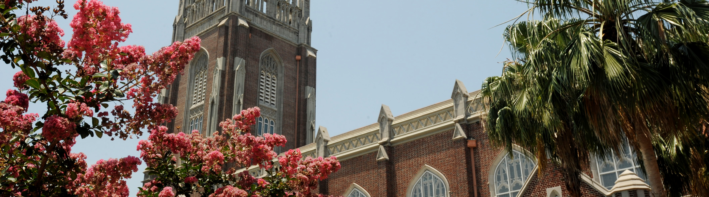 Holy Name of Jesus Church and Myrtle tree