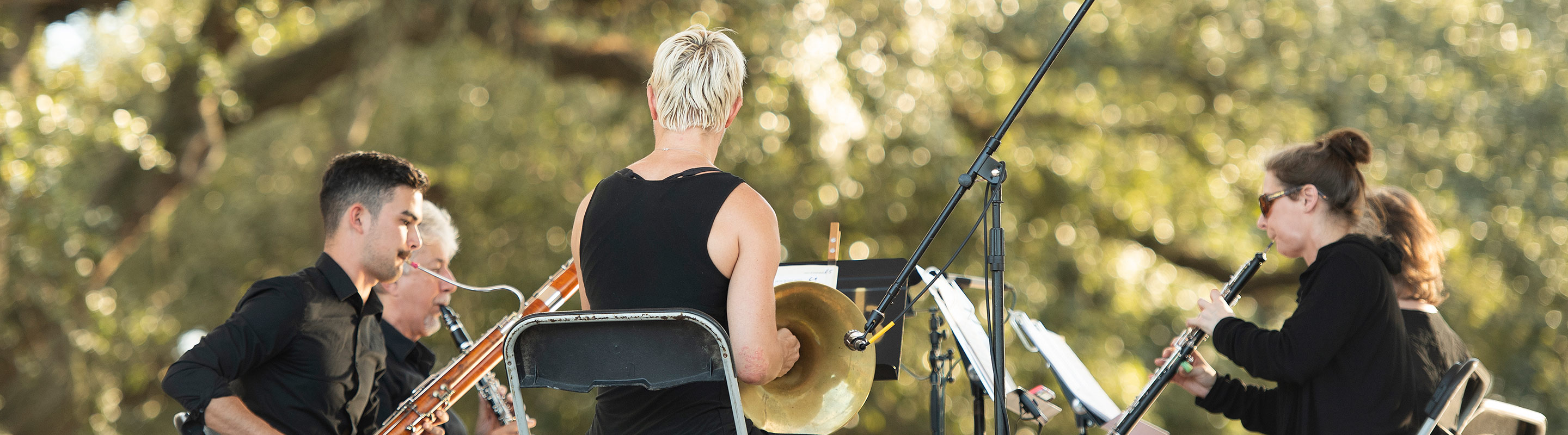 Four members playing music in park