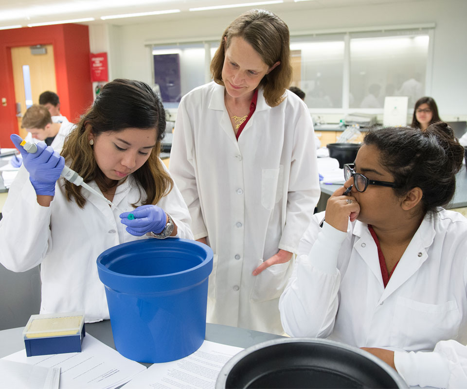 Neuroscience Faculty 