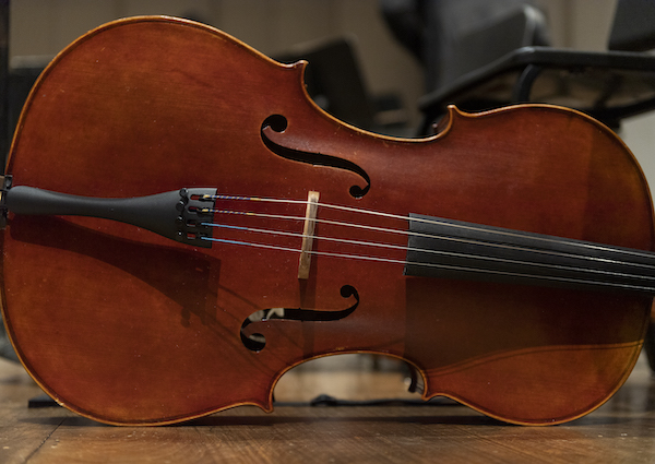 Loyola Chamber Orchestra