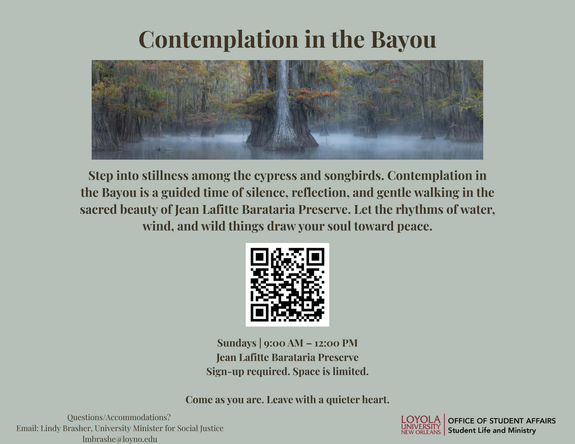 Contemplation in the Bayou